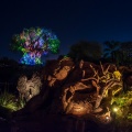 WDW201803-095