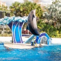 WDW201803-392