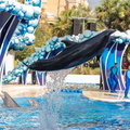 WDW201803-398