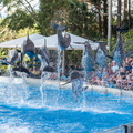 WDW201803-402