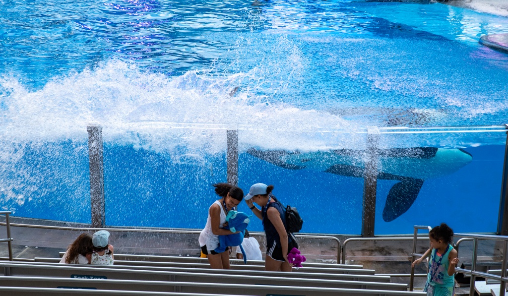 WDW201803-407.jpg