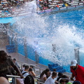 WDW201803-411