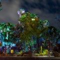 WDW201803-452