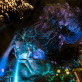 WDW201803-454