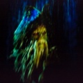 WDW200901-044