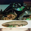 WDW200901-064