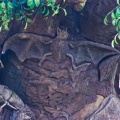 WDW200901-219