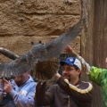 WDW200901-225