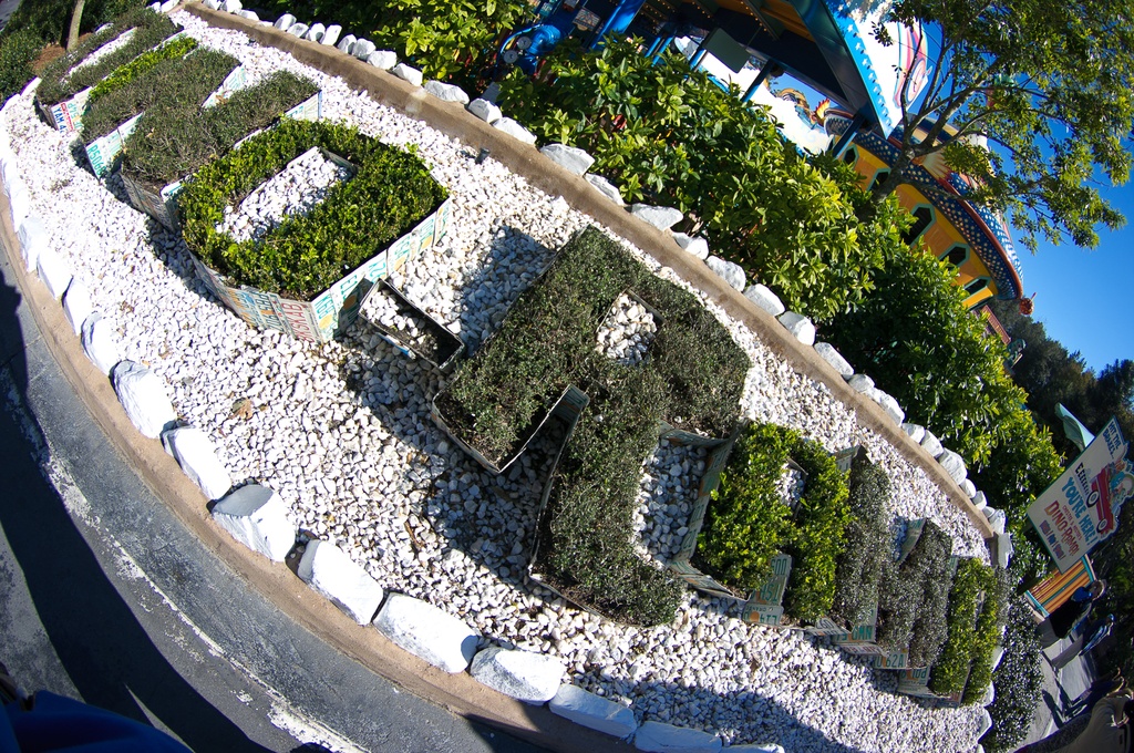 WDW200901-235.jpg