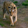 WDW200901-246