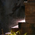 WDW200901-247