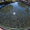 WDW200901-298