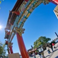 WDW200901-299
