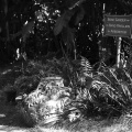 WDW200901-335