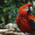 WDW200901-389