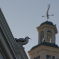 WDW200901-484