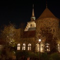 WDW200901-497
