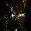 WDW200901-508