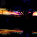WDW200901-519