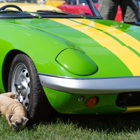 Lotus Owners Gathering 38, August 2018