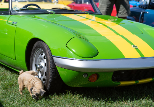Lotus Owners Gathering 38, August 2018