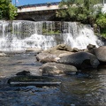 Chagrin Falls