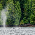 201806 Alaska-171 