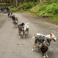 201806 Alaska-209 