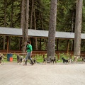 201806 Alaska-203 