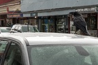 crow landing on Jeep