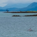 201806 Alaska-278 