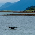 201806 Alaska-279 
