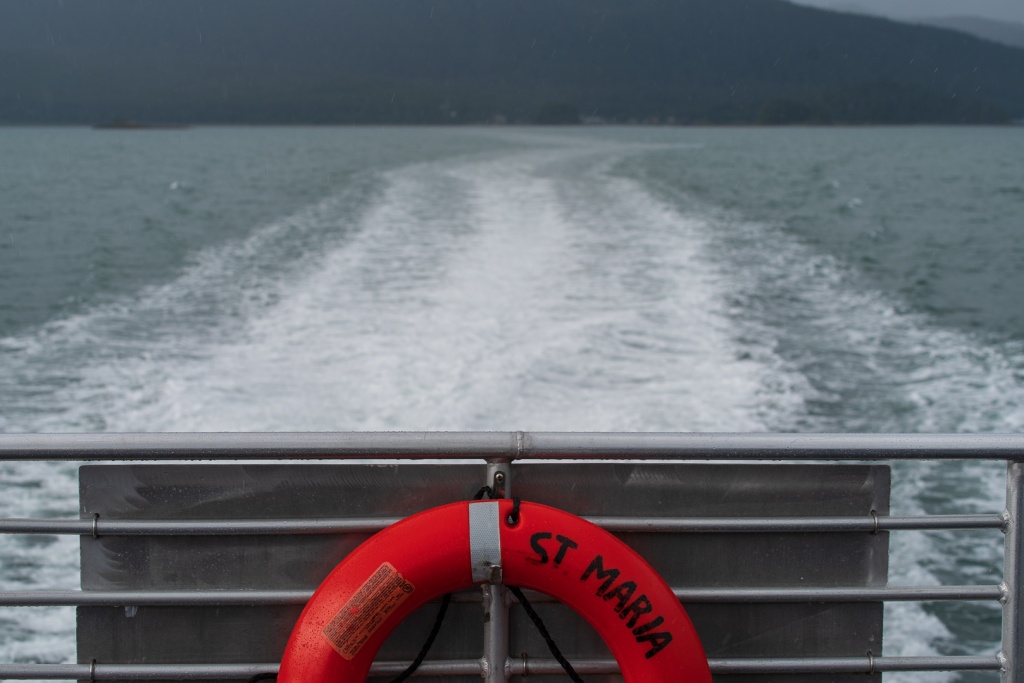 201806 Alaska-276 JUN-610 Whale Watching & Wildlife Quest.jpg