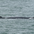 201806 Alaska-284 