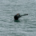 201806 Alaska-287 