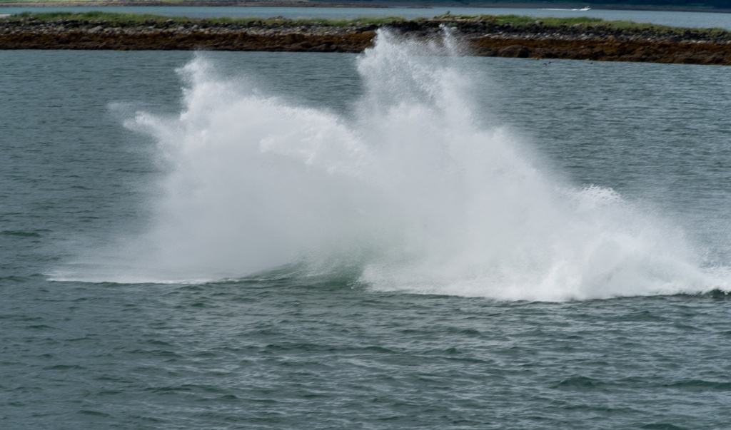 201806 Alaska-288 Splash after humpback breeched.jpg