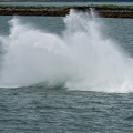 Splash after humpback breeched