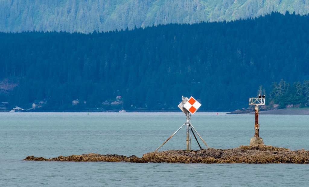 201806 Alaska-294 bald eagles.jpg