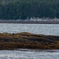 201806 Alaska-297 