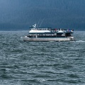 orcas