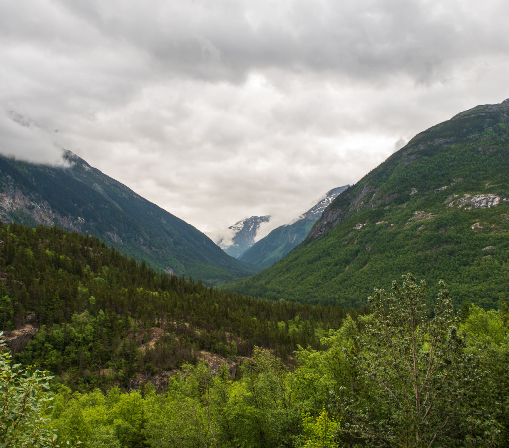 SGY-330 Skagway in Focus