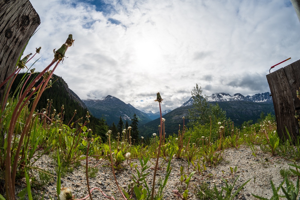 201806 Alaska-339 Bridal Veil Falls.jpg