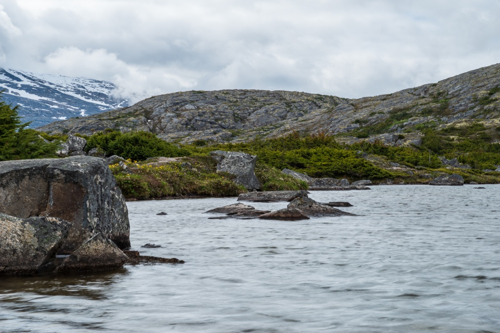 201806 Alaska-351 Summit Lake.jpg