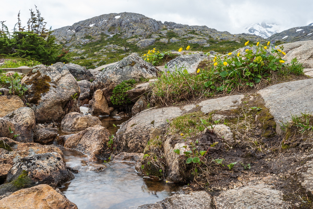 201806 Alaska-352 Summit Lake.jpg