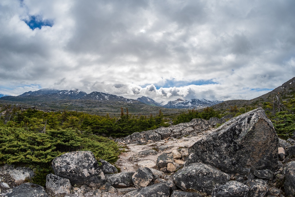 201806 Alaska-353 Summit Lake.jpg