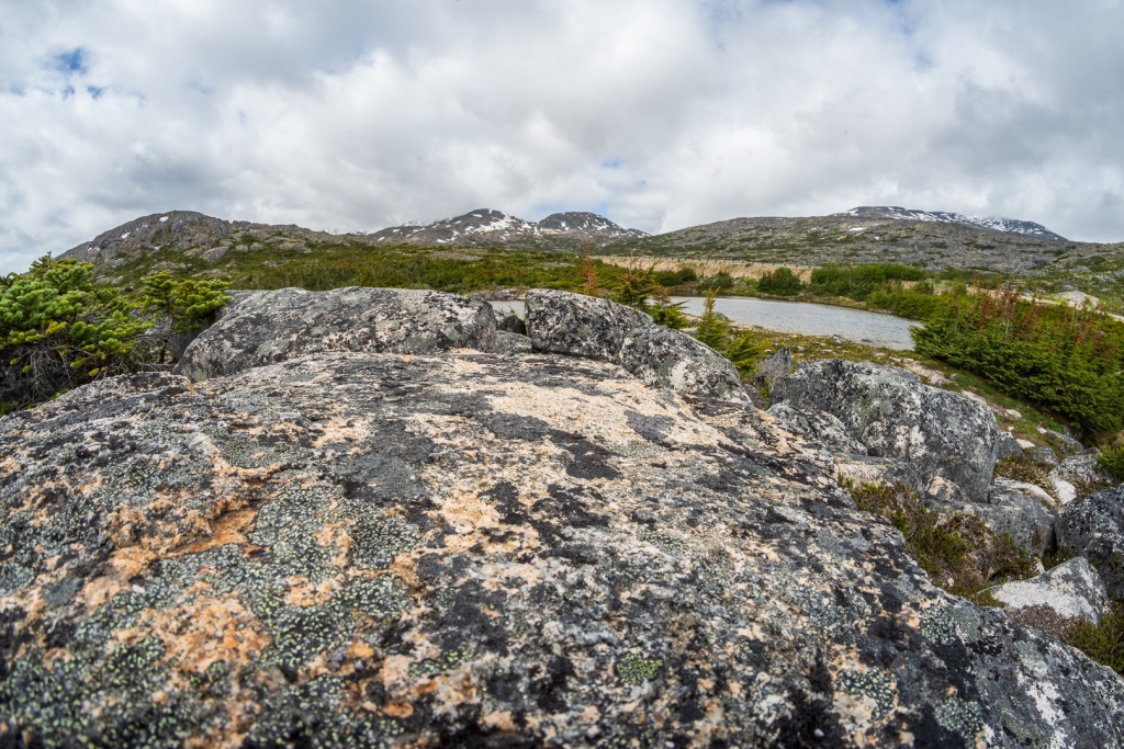 201806 Alaska-356 Summit Lake.jpg
