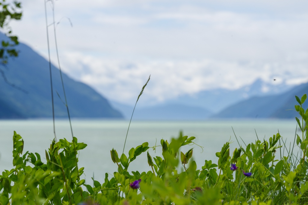 201806 Alaska-363 Nakhu Bay.jpg