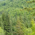 201806 Alaska-366 