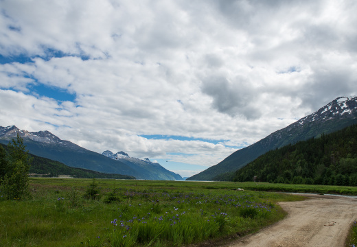 SGY-405 Grizzly Falls Ziplining Expedition