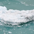 iceberg